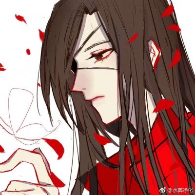白鹿520给粉丝准备了花